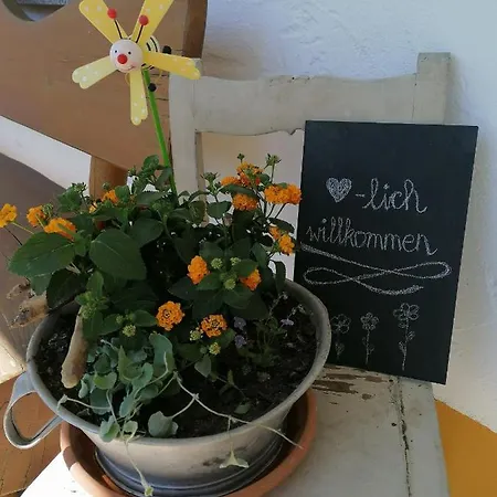 Appartement 70m²- Mit Terrasse