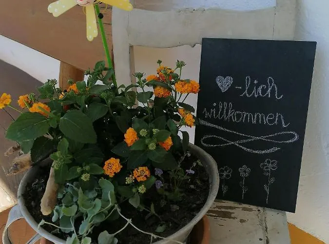 Apartamento 70m²- Mit Terrasse